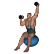 Shoulder Press - Fitness Ball Dumbbell Inwards Alternate